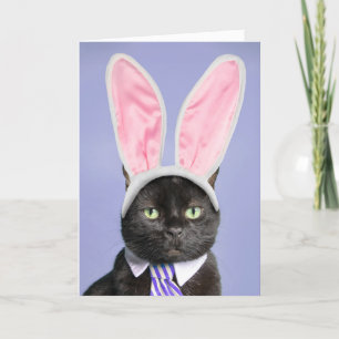 Cartes Pour Fêtes Annuelles Bonne Pâques pour n'importe qui Chat noir dans les