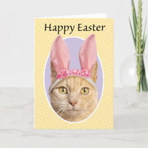 Cartes Pour Fêtes Annuelles Bonne Pâques Pour N'Importe Qui Mange Tabby Orange