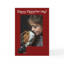 Bonne Piggytine's Day Guinée Pig Valentine