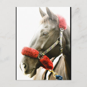 Cartes Pour Fêtes Annuelles bonnes fêtes