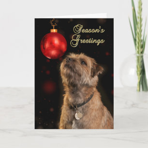 Cartes Pour Fêtes Annuelles Bonnes Fêtes Avec Chien Terrier Frontière
