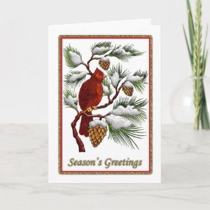 Cartes Pour Fêtes Annuelles Bonnes Fêtes - Cardinal rouge aux cônes de pin