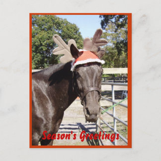 Cartes Pour Fêtes Annuelles Bonnes Fêtes de cheval