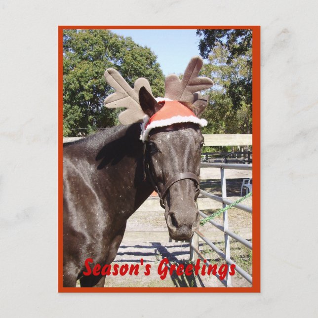 Cartes Pour Fêtes Annuelles Bonnes Fêtes de cheval (Devant)