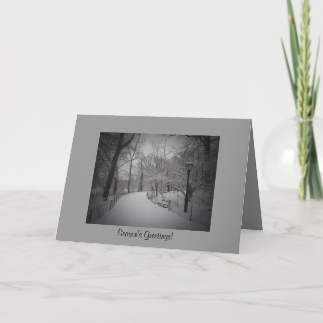 Cartes Pour Fêtes Annuelles Bonnes Fêtes d'hiver élégantes - Central Park (Devant)