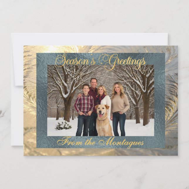 Cartes Pour Fêtes Annuelles Bonnes Fêtes Frontière de givre avec photo (Devant)
