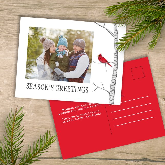 Cartes Pour Fêtes Annuelles Bonnes Fêtes Holiday Red Cardinal (Simple winter botanical red cardinal photo postcard with a minimalist design.)