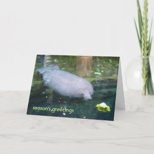 Cartes Pour Fêtes Annuelles Bonnes Fêtes - laitue