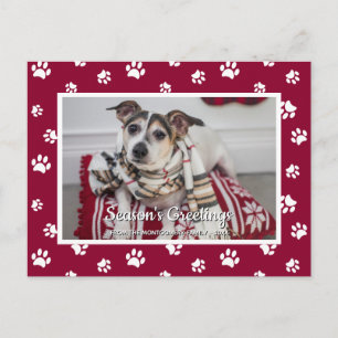 Cartes Pour Fêtes Annuelles BONNES FÊTES ! Photo Empreintes de pattes blancs r