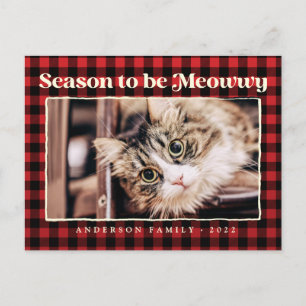 Cartes Pour Fêtes Annuelles Bonnes Fêtes Plaid Funny Pet Chat Photo