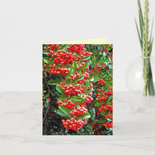 Cartes Pour Fêtes Annuelles Bonnes Fêtes Rowan Berry/Arbre - Y