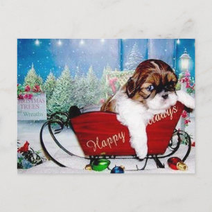 Cartes Pour Fêtes Annuelles Bonnes fêtes Shih Tzu