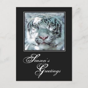 Cartes Pour Fêtes Annuelles Bonnes Fêtes Tigre blanc hiver