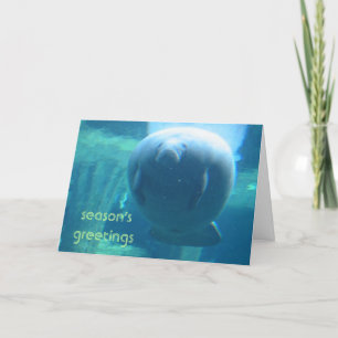 Cartes Pour Fêtes Annuelles Bonnes Fêtes - viande maigre