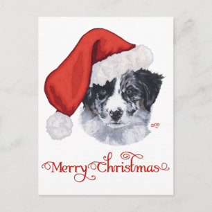 Cartes Pour Fêtes Annuelles Border Collie Noël