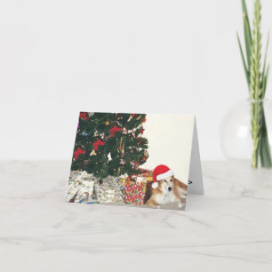 Cartes Pour Fêtes Annuelles Border collie utilisant un casquette de Père Noël