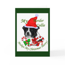 Bordure Collie Cadeaux de Noël