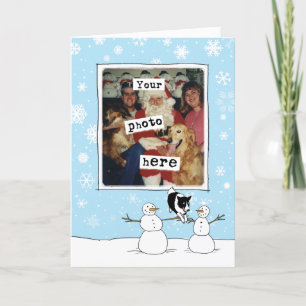 Cartes Pour Fêtes Annuelles Bordure Collie Noël   Votre photo   Chien mignon