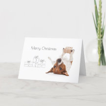Boris - Jack Russell Terrier - Joyeux Noël