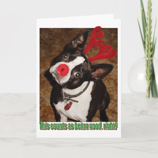 Cartes Pour Fêtes Annuelles Boston1 (Devant)