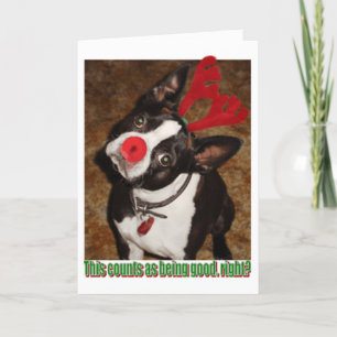 Cartes Pour Fêtes Annuelles Boston1