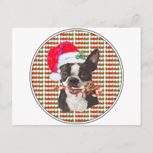 Cartes Pour Fêtes Annuelles Boston Terrier Christmas