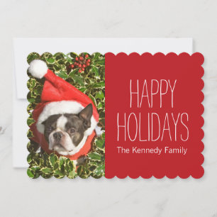 Cartes Pour Fêtes Annuelles Boston Terrier dog wearing a Christmas wreath
