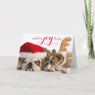 Cartes Pour Fêtes Annuelles Bouledogue anglais Père Noël et renne