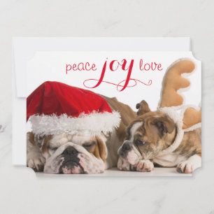 Cartes Pour Fêtes Annuelles Bouledogue anglais Père Noël et renne