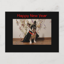 Bouledogue français Bonne année