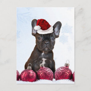 Cartes Pour Fêtes Annuelles Bouledogue français de Noël