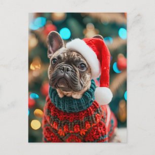Cartes Pour Fêtes Annuelles Bouledogue français en tenue de chien tricotée