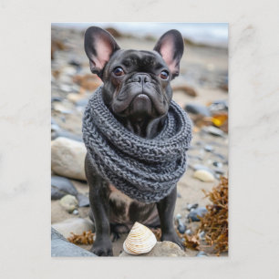 Cartes Pour Fêtes Annuelles Bouledogue français en tenue tricotée pour chien