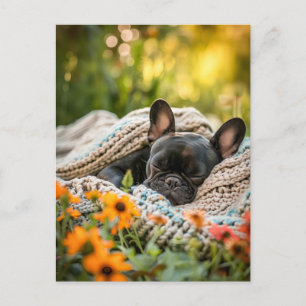 Cartes Pour Fêtes Annuelles Bouledogue français en tenue tricotée pour chien