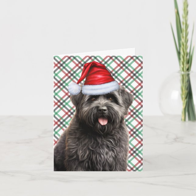 Cartes Pour Fêtes Annuelles Bouvier Christmas Chien Vert Rouge Plaid Noël (Devant)