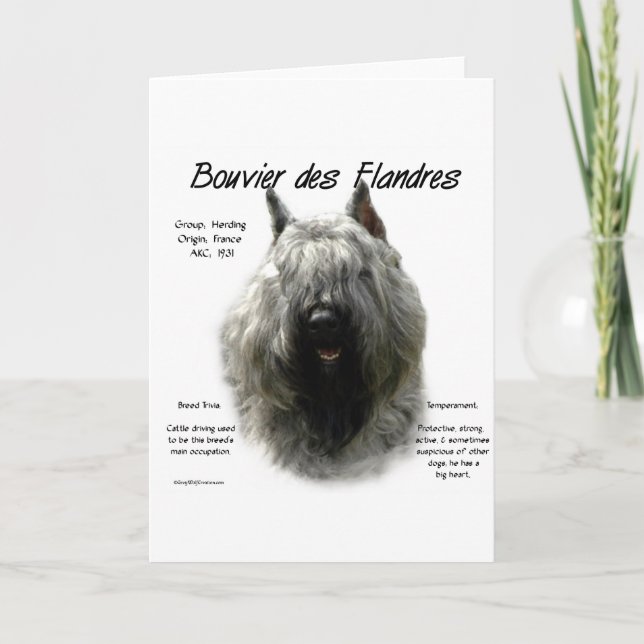Cartes Pour Fêtes Annuelles Bouvier des Flandres (Devant)