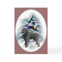 Bouvier des Flandres Cadeaux de Noël