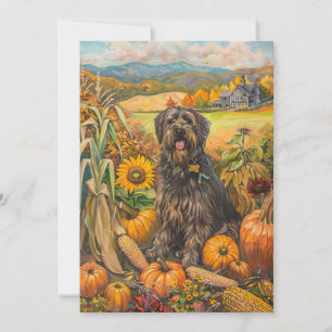 Cartes Pour Fêtes Annuelles Bouviers des Flandre Récolte d'automne Thankesgivi