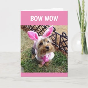 CARTES POUR FÊTES ANNUELLES BOW WOW DIT POP/"HEUREUX PÂQUES POUR VOUS !