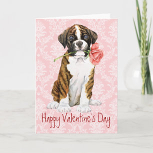 Cartes Pour Fêtes Annuelles Boxer Rose Valentine