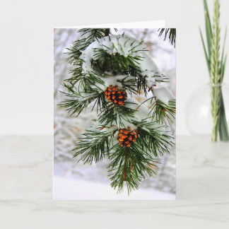 Cartes Pour Fêtes Annuelles Branche PineCone HD