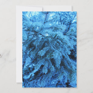 Cartes Pour Fêtes Annuelles Branches d'épinette recouvertes de cristaux de gel