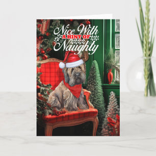 Cartes Pour Fêtes Annuelles Briard Chien de Noël Naughty ou Nice