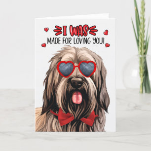 Cartes Pour Fêtes Annuelles Briard Chien fait pour vous aimer Valentine