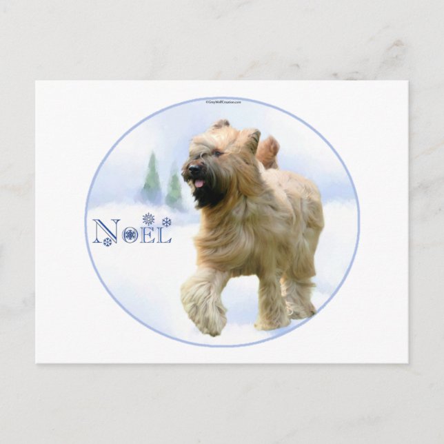 Cartes Pour Fêtes Annuelles Briard Noel (Devant)