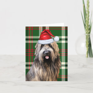 Cartes Pour Fêtes Annuelles Brie Noël Chien vert Plaid Noël