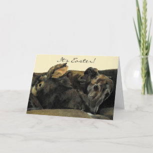 Cartes Pour Fêtes Annuelles Brindle Greyhound & Bunny Easter Card