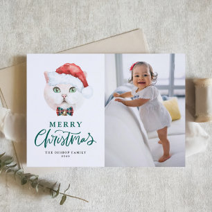 Cartes Pour Fêtes Annuelles British Shorthair Cat Green Joyeux Noël Photo