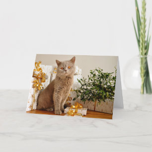 Cartes Pour Fêtes Annuelles British Shorthair Cat Purr-fect