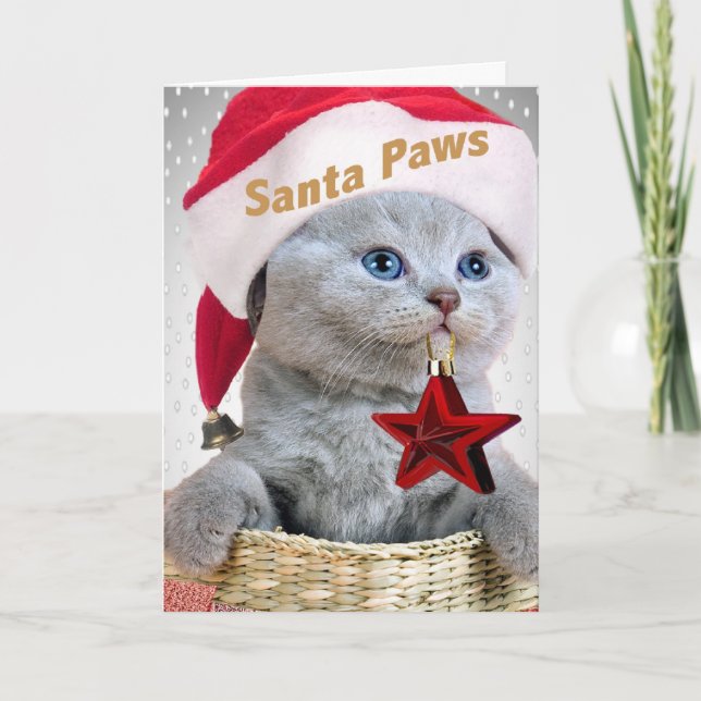 Cartes Pour Fêtes Annuelles British Shorthair Kitten Père Noël Paws (Devant)